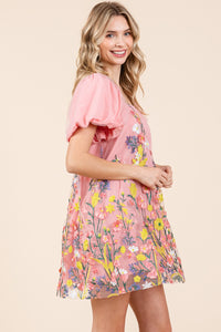 Embroidered Mesh Mini Dress