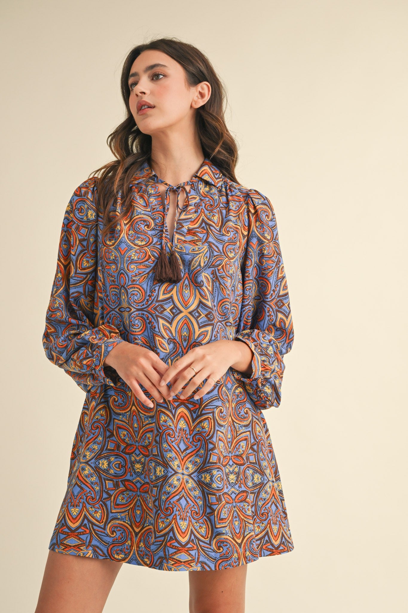 Printed Collared Shirt Dress