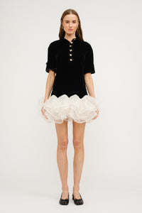 Tulle Skirt Velvet Dress