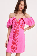 Embroidered Detail Mini Dress