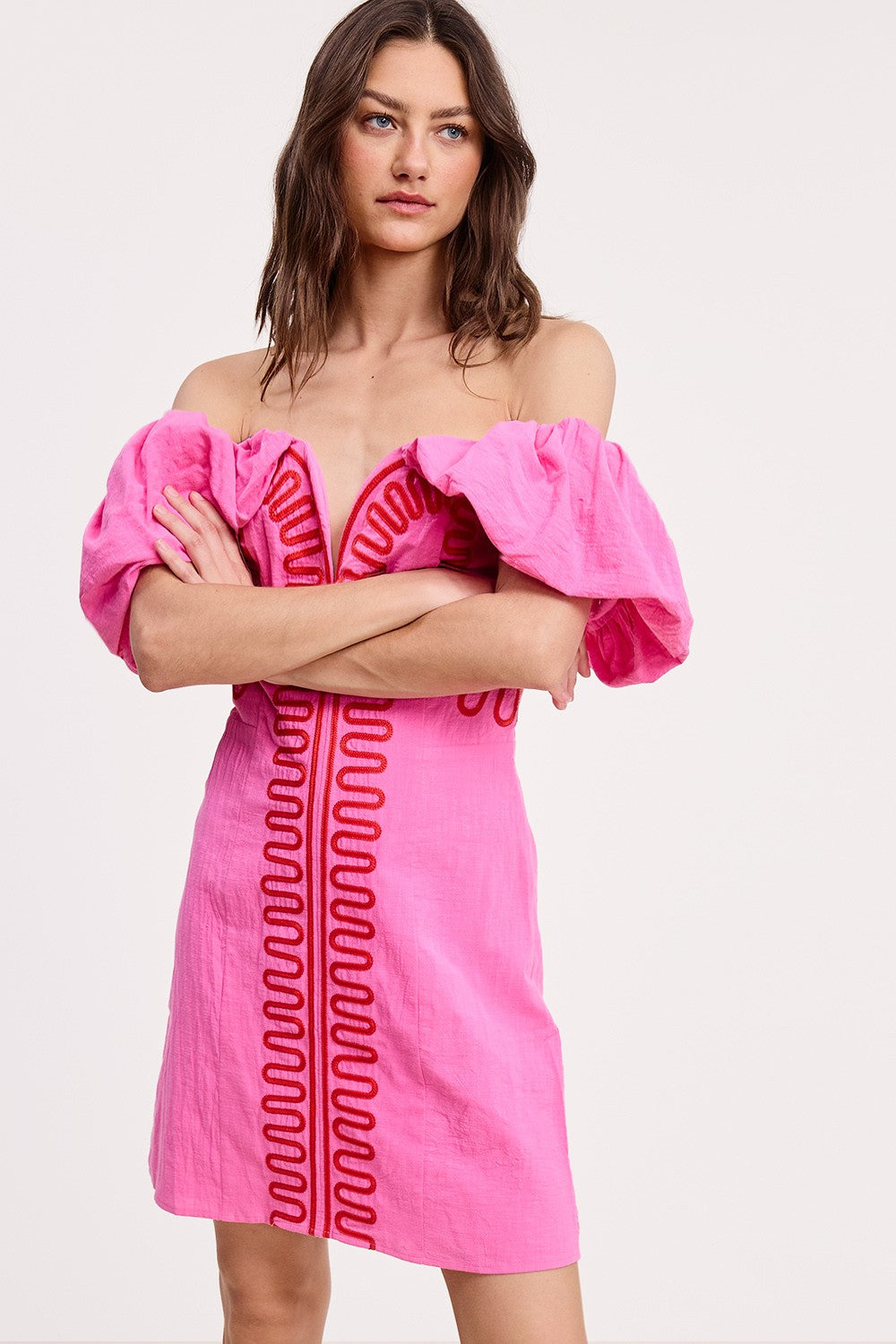 Embroidered Detail Mini Dress