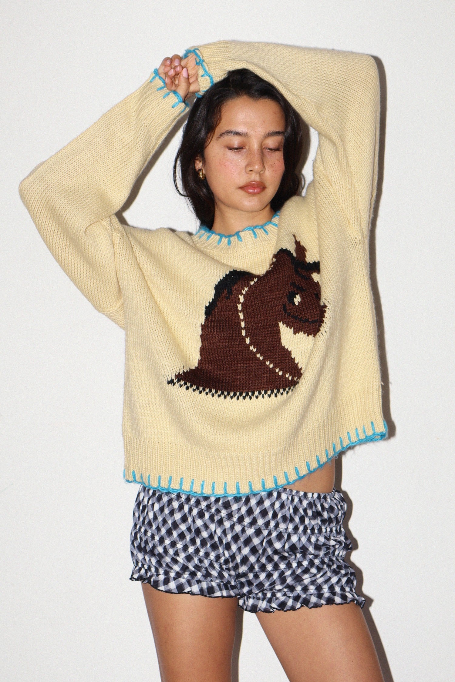 Horse Sweater