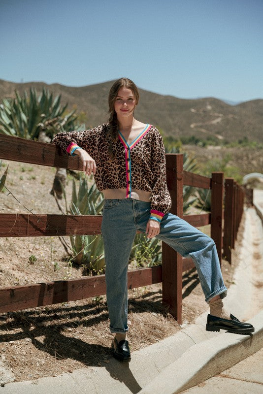 Rainbow Banded Leopard Sweater