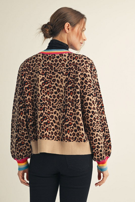 Rainbow Banded Leopard Sweater