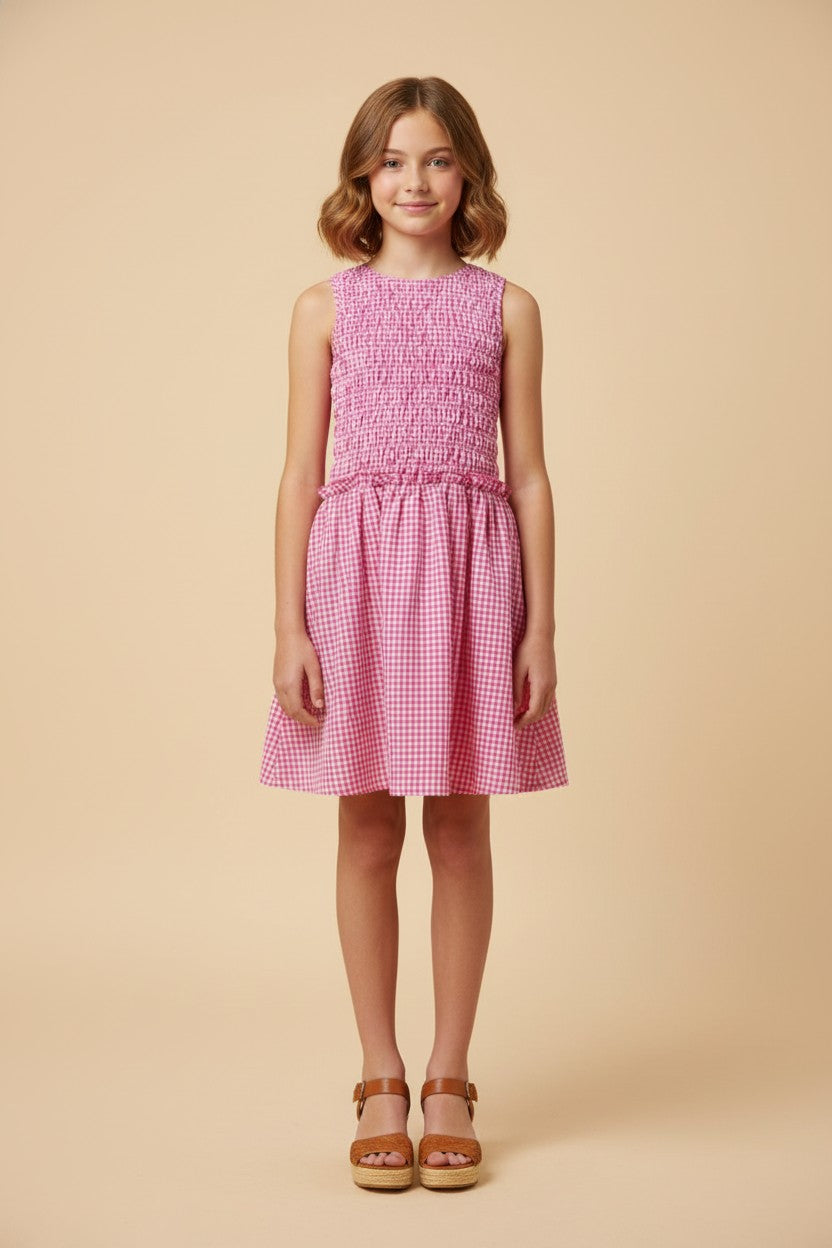 Pink Gingham Dress