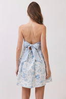 Toile Strapless Mini Dress