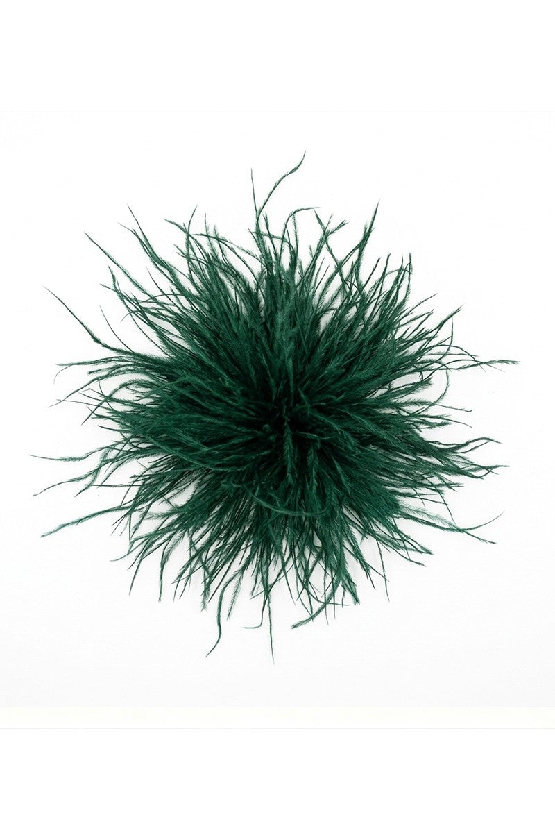 Feather Brooch