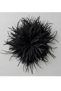 Feather Brooch