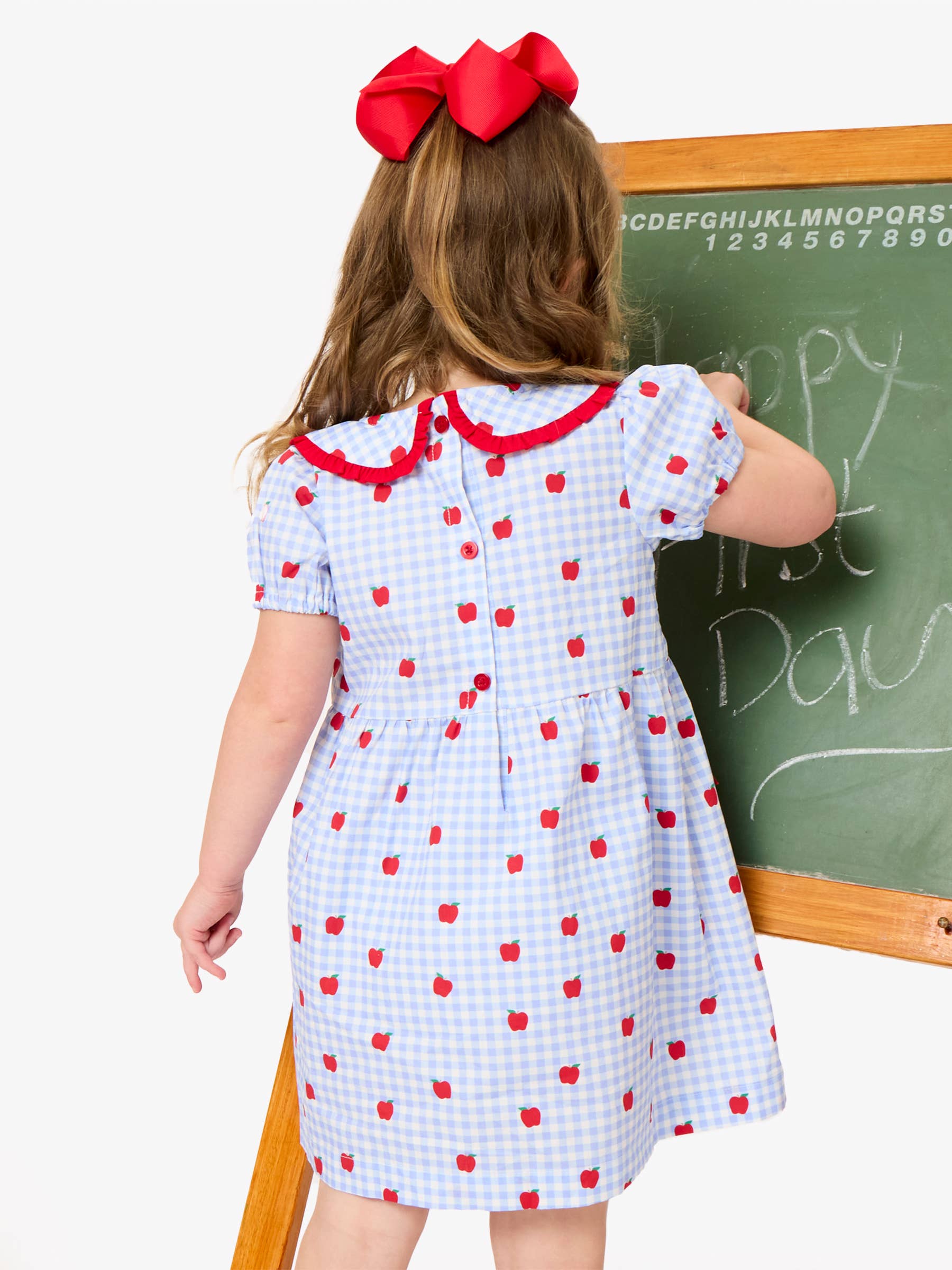 Apple Gingham Short Sleeve Dress