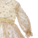 Gold Glitter Mesh Dress