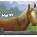 Little Texas Board Book