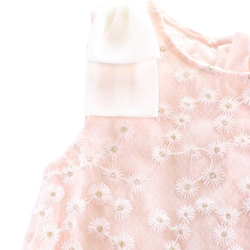 Floral Embroidered Sheer Dress