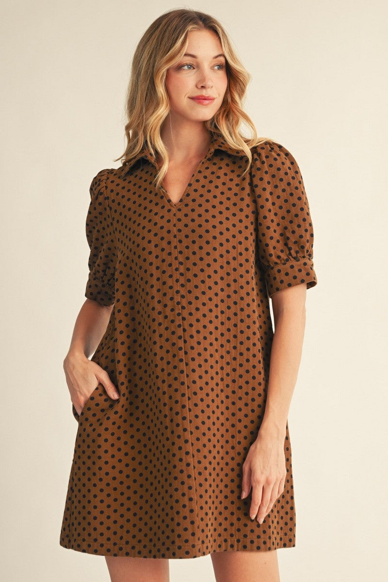Polka Dot Mini Dress