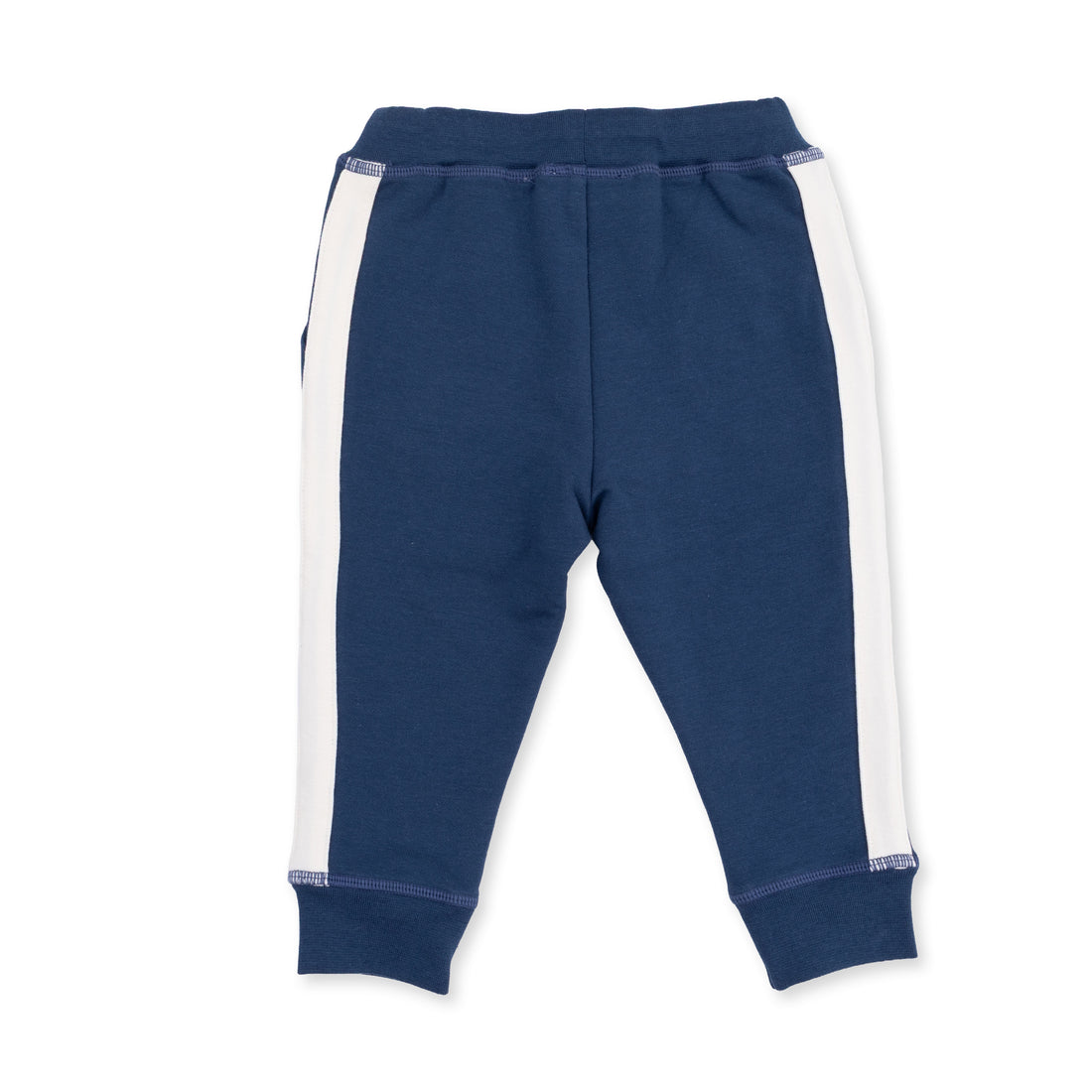 Jogger Pant with Varsity Stripes