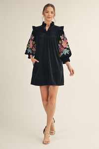 Velvet Embroidered Detail Dress