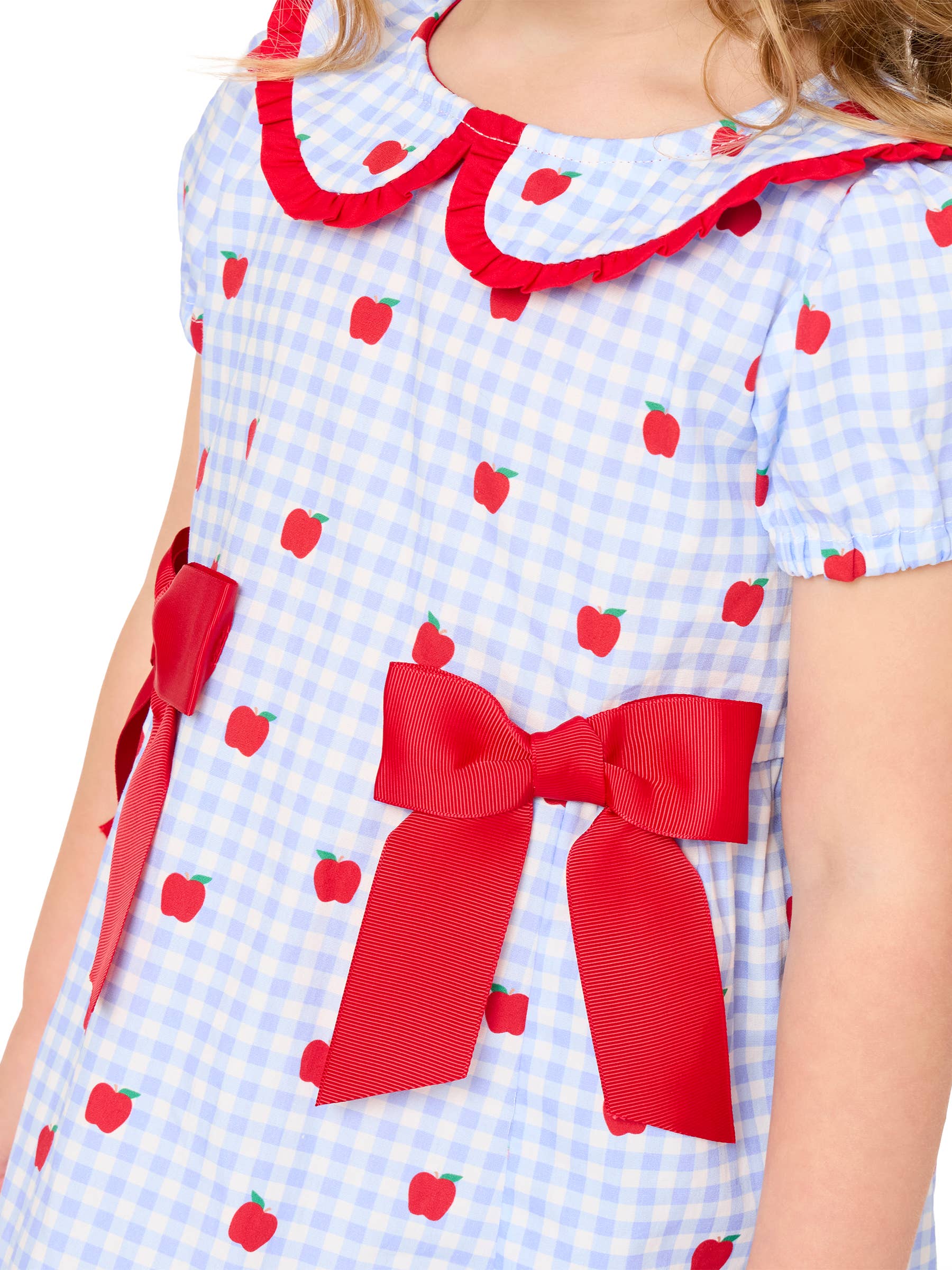 Apple Gingham Short Sleeve Dress