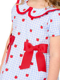 Apple Gingham Short Sleeve Dress