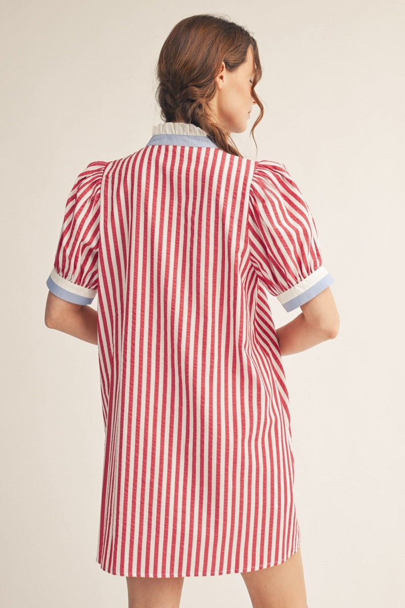 Button Down Stripe Shift Dress