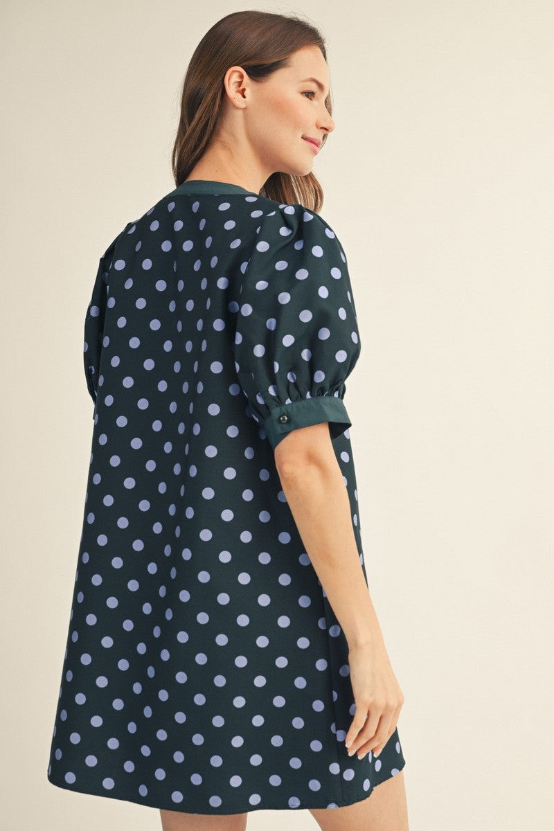 Puff Sleeve Polka Dot Mini Dress