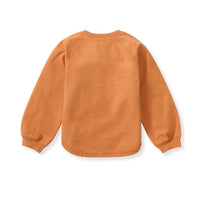 Pumpkin Sweatshirt