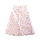 Floral Embroidered Sheer Dress