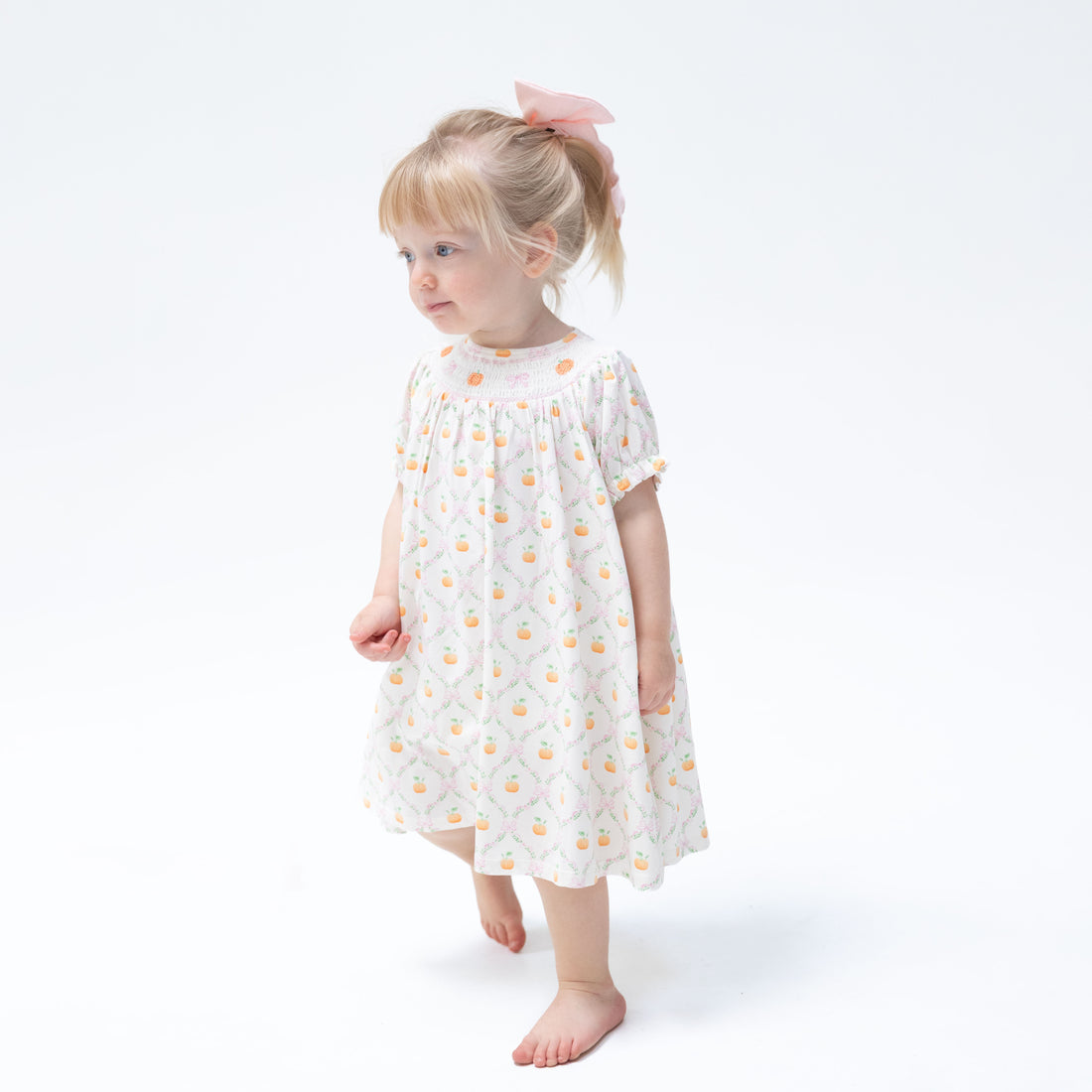 Pretty Pumpkin Trellis Puff Sleeve Bishop Dress and Bloomer